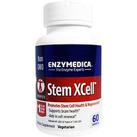 Комплекс для профілактики роботи головного мозку Enzymedica Stem XCell 60 Caps ENZ-28050 NB, код: 7670771