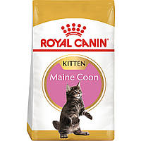 Сухой корм для котят Royal Canin Mainecoon Kitten 2 кг (3182550816502) (2558020) UD, код: 7541102