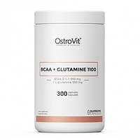 Аминокислота BCAA для спорта OstroVit BCAA + Glutamine 1110 mg 300 Caps FG, код: 7558867