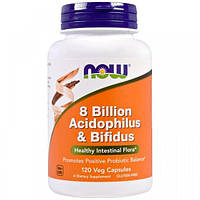 Пробиотик NOW Foods 8 Billion Acidophilus Bifidus 120 Veg Caps PZ, код: 7518219