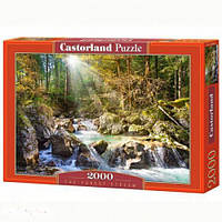 Пазлы Castorland Лесной ручей 2000 элементов C-200382 BM, код: 7476326