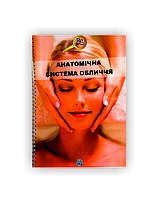 Методическое пособие Vivay Анатомическая система лица А4 18 стр Разноцветный NB, код: 8098702