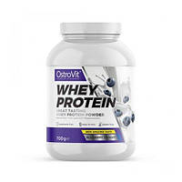 Протеин OstroVit Whey Protein 700 g 23 servings Blueberry TH, код: 8206836