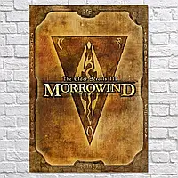 Плакат "Древние Свитки 3: Морровинд, The Elder Scrolls III: Morrowind (2002)", 42×30см