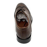 Чоловічі класичні туфлі коричневі шкіряні зі шнуровкою та перфорацією Sergio Billini 51234-251 розмір 40, фото 6
