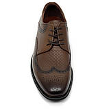 Чоловічі класичні туфлі коричневі шкіряні зі шнуровкою та перфорацією Sergio Billini 51234-251 розмір 40, фото 3