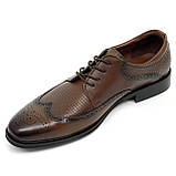 Чоловічі класичні туфлі коричневі шкіряні зі шнуровкою та перфорацією Sergio Billini 51234-251 розмір 40, фото 8