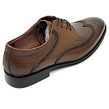 Чоловічі класичні туфлі коричневі шкіряні зі шнуровкою та перфорацією Sergio Billini 51234-251 розмір 40, фото 7