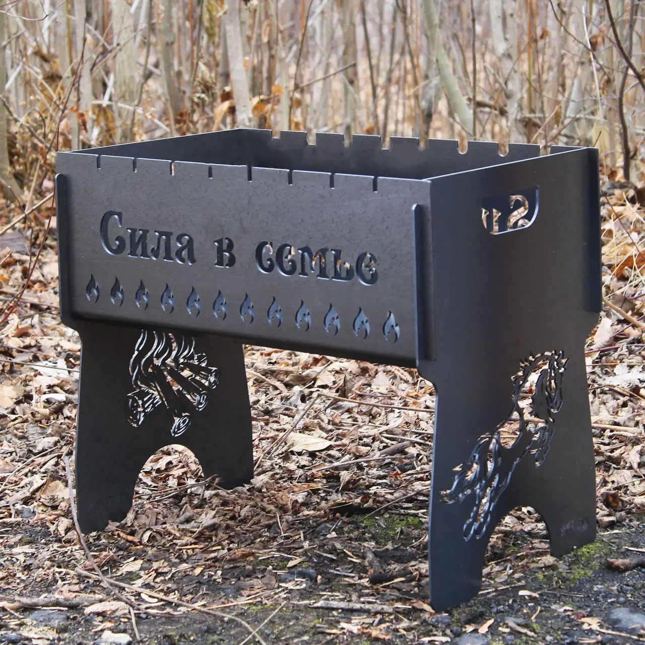 Мангал на 8 шт розбірний з індивідуальним гравіюванням - Сила у сім'ї. Розмір – 500х300х440 мм, фото 1