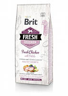 Сухий корм для цуценят і юніорів Brit Fresh Chicken Potato Healthy Growth 12 кг GG, код: 2652082