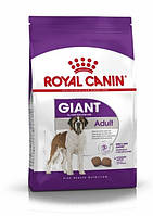 Сухой корм Royal Canin Giant Adult для взрослых собак гигантских пород старше 2 лет 15 кг (31 GG, код: 7581535