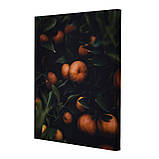 Набір постерів Riviera Blanca Мандаринове дерево (PS-180) 2 шт в наборі, фото 2