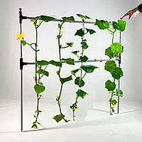 Садовий тримач-шпалера для підв'язування рослин Cucumber - Опора міні-парника для розсади огірків