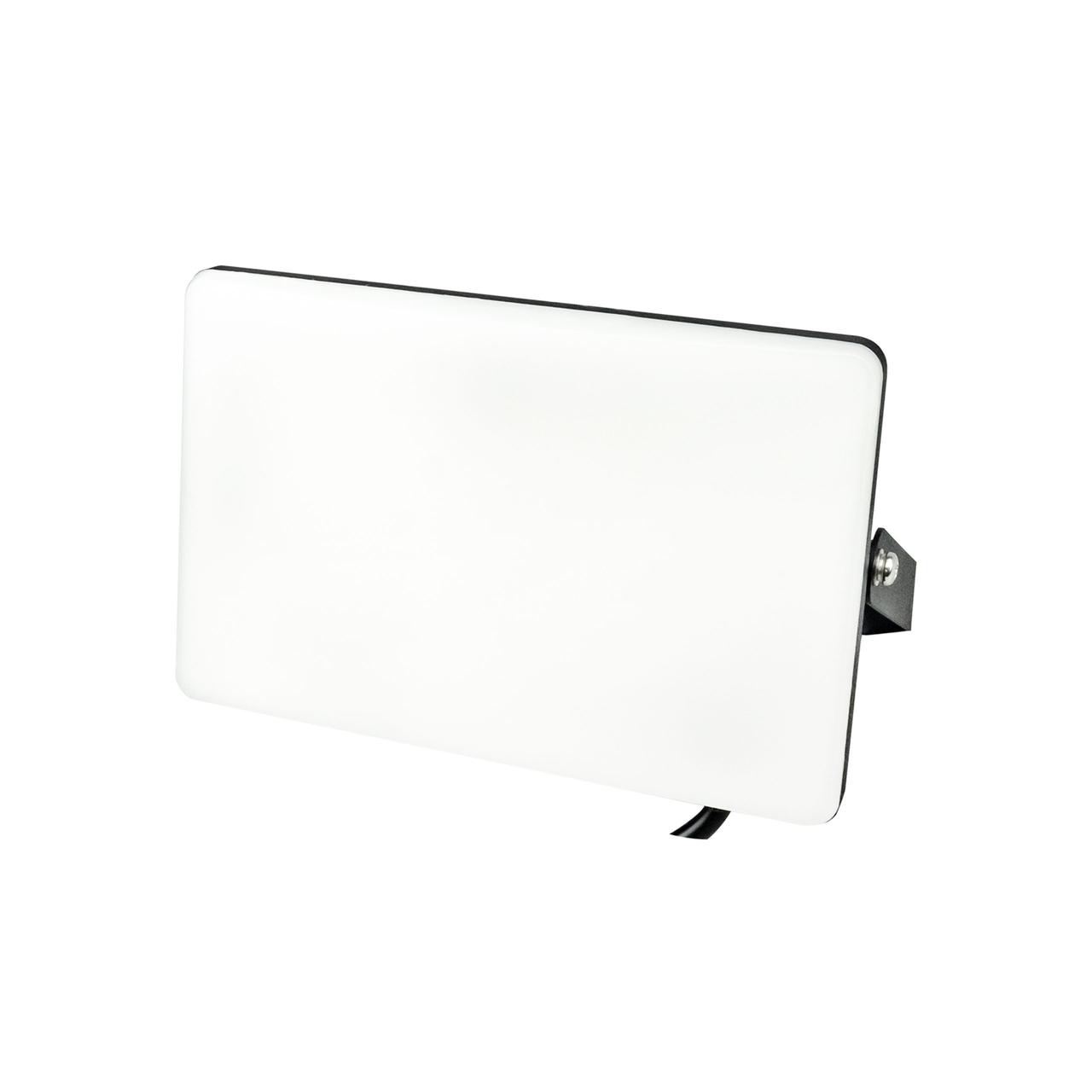 Прожектор LED PEGASUS-50 50W 6400K 068-024-0050-010 HOROZ ELECTRIC