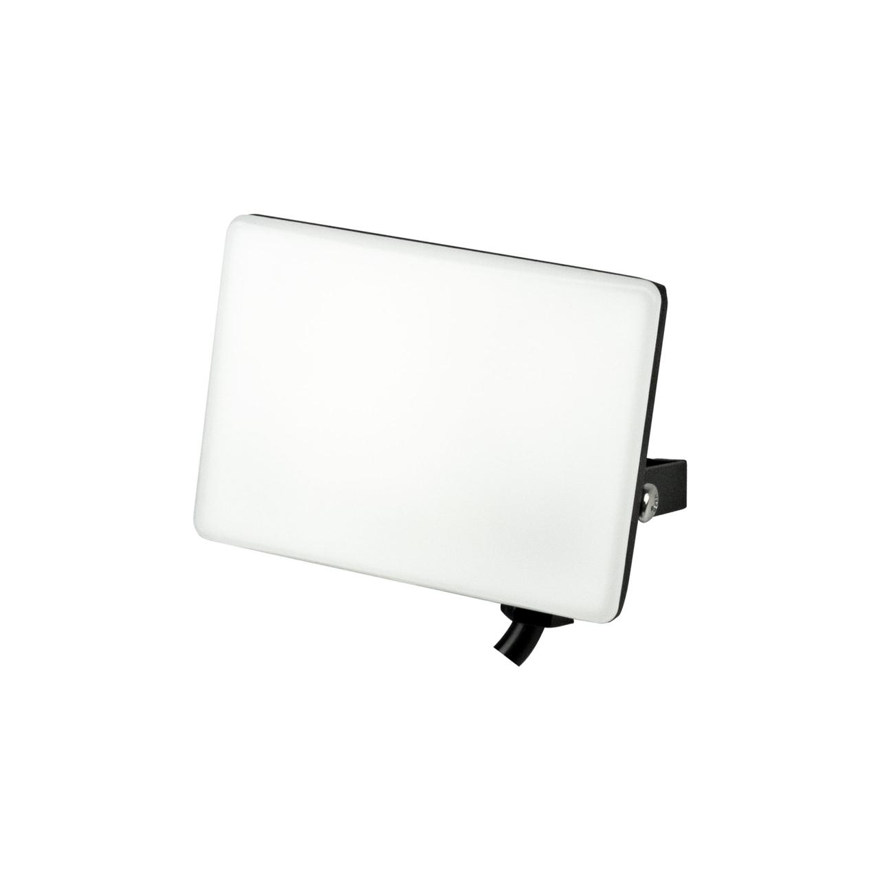 Прожектор LED PEGASUS-10 10W 6400K 068-024-0010-010 HOROZ ELECTRIC