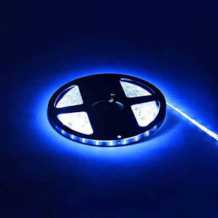 LED стрічка NIL синя 12V DC 081-002-0001-051 HOROZ ELECTRIC