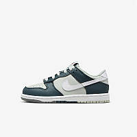 Кроссовки Nike Dunk Low GS FB9109-300