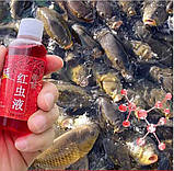 Натуральная приманка прикормка для рыбы красный червь рыбный фермент для концентрат, фото 3