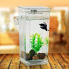 Акваріум самоочисний для рибок 2л, My Fun Fish / Міні-акваріум для рибок / Самоочісний міні аквариум, фото 8