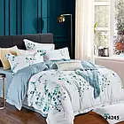 Комплект постільної білизни ТМ Вілюта ранфорс  24245