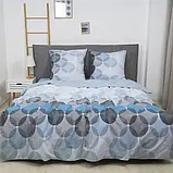 Комплект постільної білизни ТМ Вілюта ранфорс 24246, фото 2