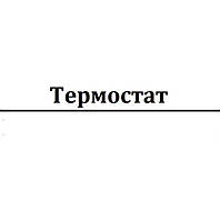 Термостат