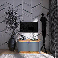 Тумба 2-х дверна закрита Еверест Нордік-980 98х38х53 см Графіт + Дуб крафт золотий (DTM-5526)