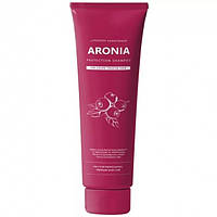 Pedison Шампунь для волос АРОНИЯ Institute-beaut Aronia Color Protection Shampoo, 100 мл