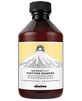 Davines NT Purifying shampoo-очищающий шампунь 250мл 71212