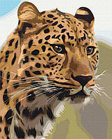 Картина по номерам BrushMe Пятнистый леопард 40х50см BS52449 IN, код: 8264810