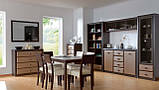 Модульна система для вітальні "Коен", фото 3