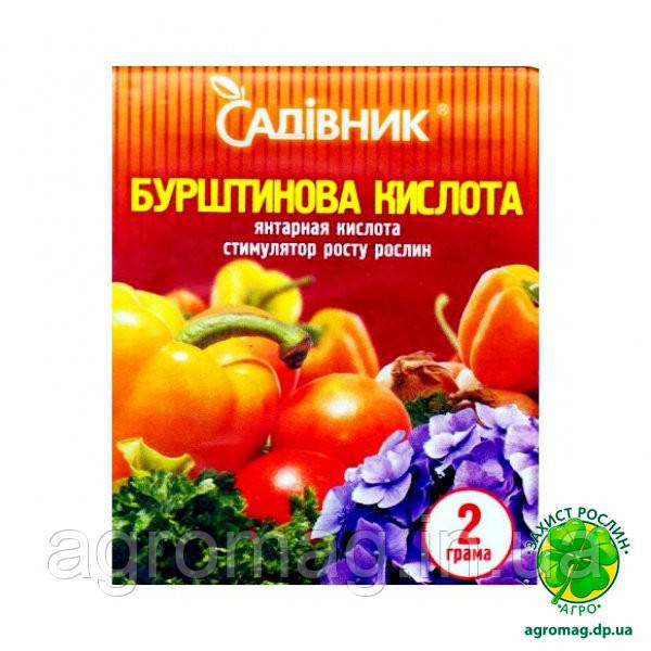 Бурштинова кислота 2 г