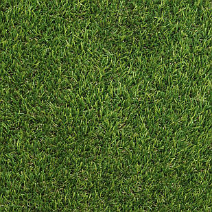 Декоративна трава Congrass JakArta 30 2.0m
