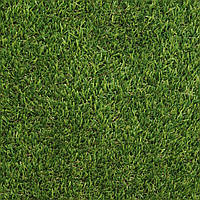 Декоративна трава Congrass JakArta 30 4.0m