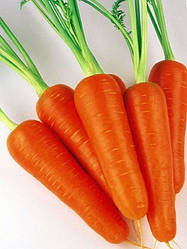 Насіння моркви Курода , 500 гр , Lark Seeds (Жайворон Сідс), США