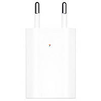 Сетевое зарядное устройство for iPhone 5 (MD813ZM/A) (тех.пак) with logo (Белый / White)