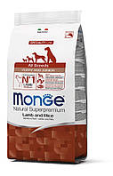 Корм Monge Monoprotein Puppy and Junior All Breeds Agnello сухой монопротеиновый с ягненком д SM, код: 8451683