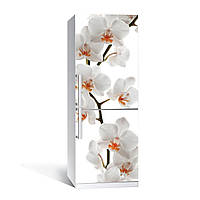 Наклейка на холодильника Zatarga Ветка орхидеи 650х2000 мм Белый (z180204) IN, код: 1804280