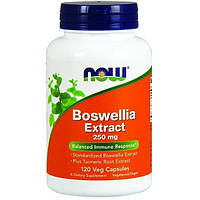 Экстракт босвеллии NOW Foods Boswellia Extract 250 mg 120 Veg Caps ET, код: 7518273