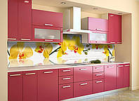 Наклейка на скинали Zatarga на кухню «Желтые Орхидеи» 650х2500 мм виниловая 3Д наклейка кухон IN, код: 5868284