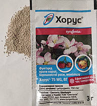 Фунгіцид Хорус 3 г (Оригінал), Syngenta, фото 5