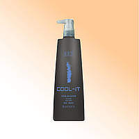 Оттеночный шампунь Cool It Color Reflection BES (Италия) 300 мл