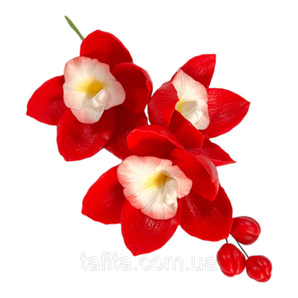 Їстівна квітка Орхідея №1 червона