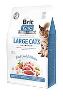 Сухой корм для кошек крупных пород Brit Care Cat GF Large cats Power Vitality с уткой и кури LW, код: 7567883