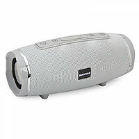 Портативна колонка BOROFONE BR3 Rich sound sports wireless speaker Grey trs