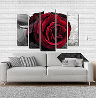 Модульна картина Poster-land Троянда Art-31_5 NB, код: 6502459