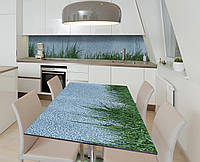 Наклейка 3Д виниловая на стол Zatarga «На мягкой траве» 600х1200 мм для домов, квартир, столо NX, код: 6443294