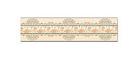 Наклейка виниловая кухонный фартук Zatarga Цветочный узор 600х2500 мм (Z181332) BM, код: 2387070