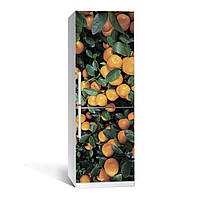 Наклейка на холодильник Zatarga Цитрус 01 650х2000 мм Зеленый (Z180068) NX, код: 1804439