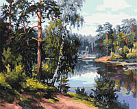 Картина по номерам BrushMe Живописное озеро в лесу 40х50см BS51969 UL, код: 8265429